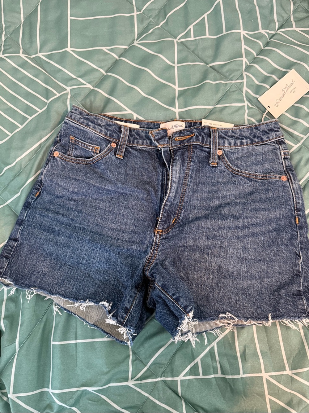 Raw Hem Denim Shorts